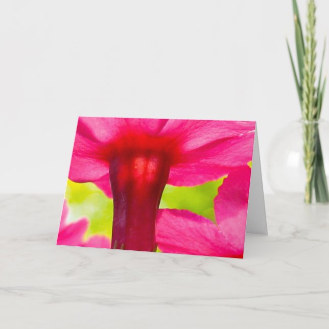 Vacker, mjuk, Rosa Blommigt Kort (Framsida)