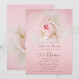 Vacker Mjuk Rosa Våt Ros Elegant Bröllop Inbjudningar