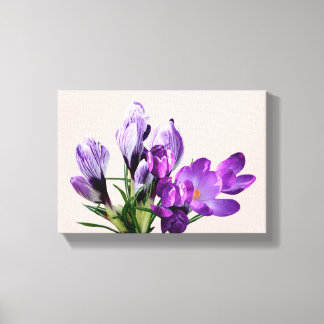 Vacker modern snygg lila krokus blomsterduk på can canvastryck