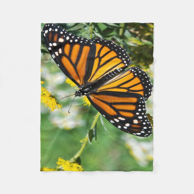 Vacker Monarch Butterfly Fleecefilt (Framsidan)