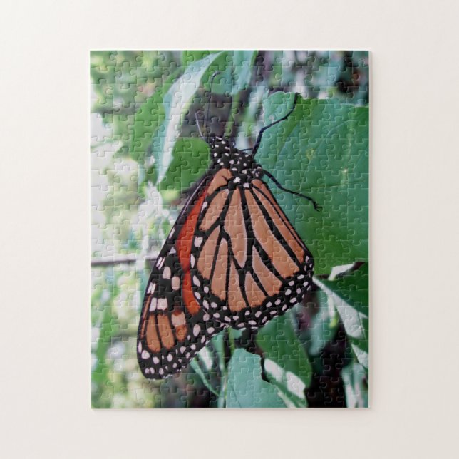 Vacker Monarch Butterfly Pussel (Vertikal)