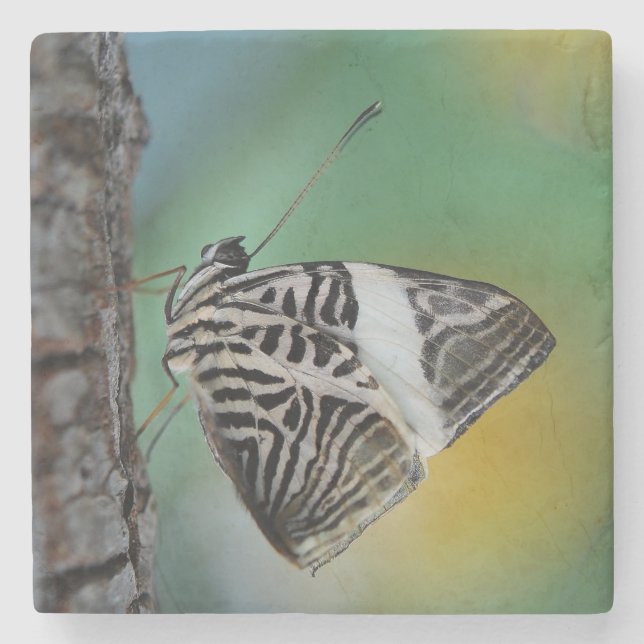 Vacker Mosaic Zebra Butterfly Stenunderlägg (Framsidan)