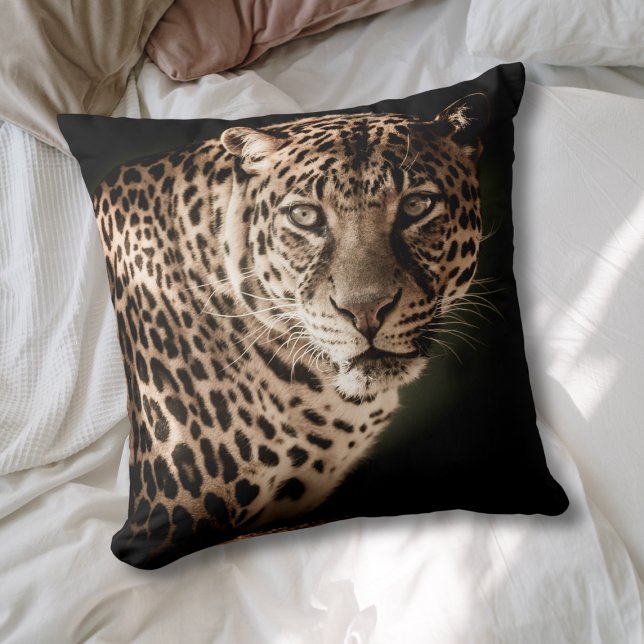 Vacker natur leopard kudde (Skapare uppladdad)