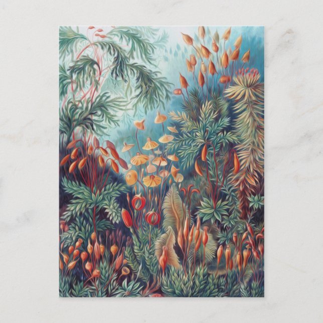 Vacker natur - Mosses Vykort (Framsida)