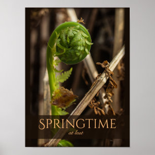 Vacker natur Young fern stigning CC0921 Vår Poster