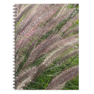 vacker naturfoto, pampasgräs - journal anteckningsbok