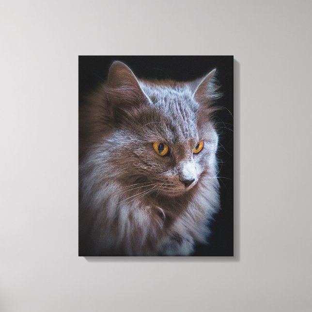 Vacker Nebelung Cat Long Hair Russian Blue Grått Canvastryck (Framsida)