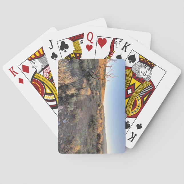 Vacker Nevada Desert Casinokort (Baksidan)