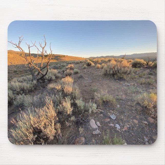 Vacker Nevada Desert Musmatta (Framsidan)
