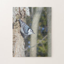 Vacker nuthatch Puzzle Pussel
