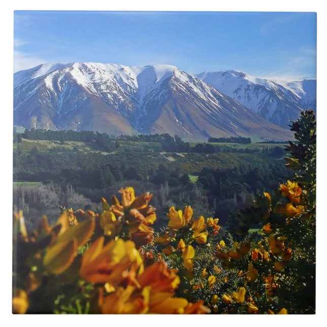 Vacker Nya Zeeland Kakelplatta (Framsidan)