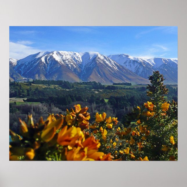 Vacker Nya Zeeland Poster (Framsidan)