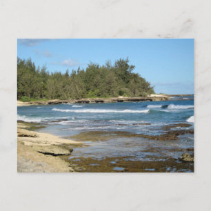 Vacker Ocean Beach Oahu Hawaii Vykort