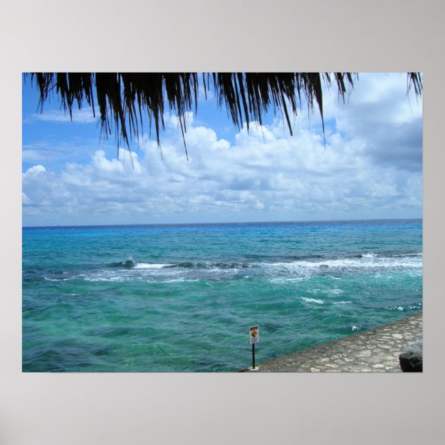 Vacker Oceanview Poster (Framsidan)