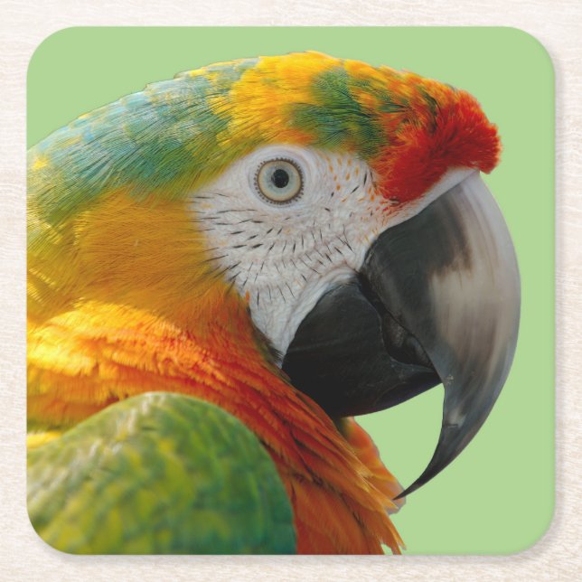 Vacker och färgstark Macaw Parrot Underlägg Papper Kvadrat (Framsidan)