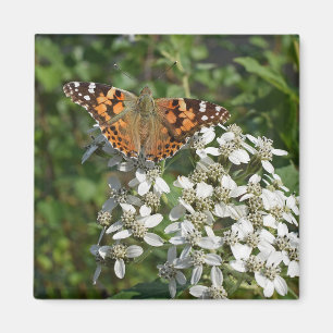 Vacker Orange Fjäril & Vita Blommor Magnet