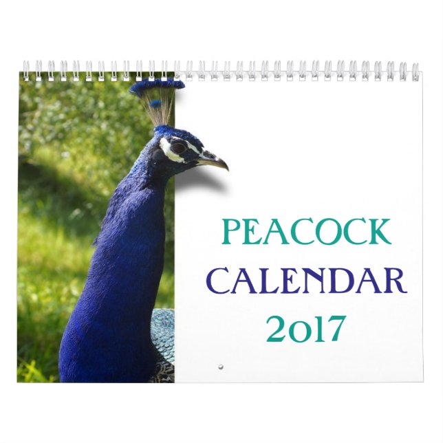 Vacker Påfågel 2027 Kalender (Omslag)