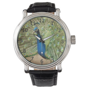 Vacker påfågel armbandsur