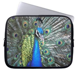 Vacker påfågel som sprider färggranna fjädrar laptop sleeve