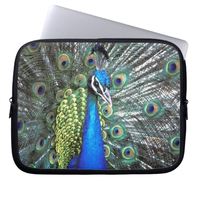 Vacker påfågel som sprider färggranna fjädrar laptop sleeve (Framsidan)