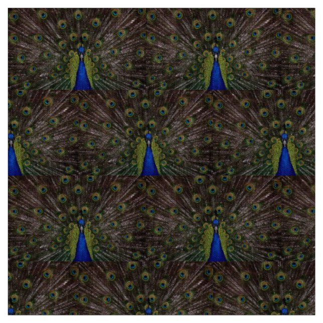 Vacker påfågel tyg (Provkarta)