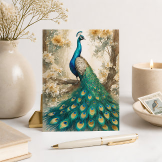 Vacker påfågel vykort
