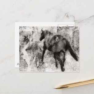 Vacker Paint Horse Sto och Föl Vykort