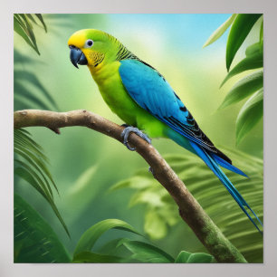 Vacker parakeet i Jungle Poster