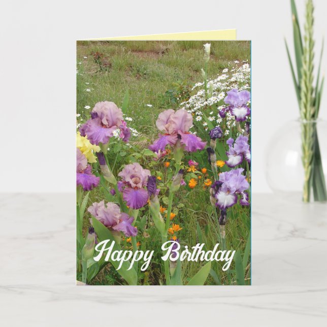 Vacker Pärlad Iris Trädgårdsblomma Blommig Kort (Framsida)