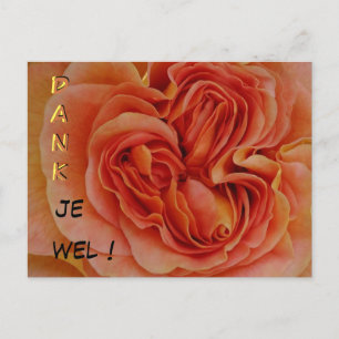 Vacker Pastel Ro Dank je wel Postcard Vykort