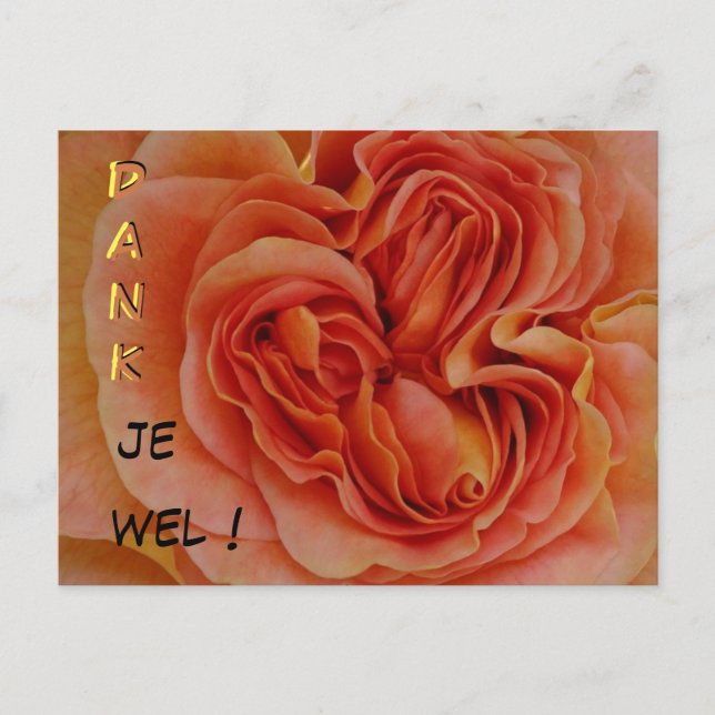 Vacker Pastel Ro Dank je wel Postcard Vykort (Framsida)