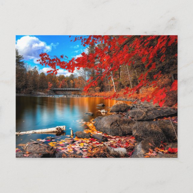 vacker planet 15 vykort (Framsida)