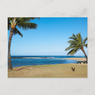 Vacker Po'ipu-strand, Kaua'i, Hawaii Vykort