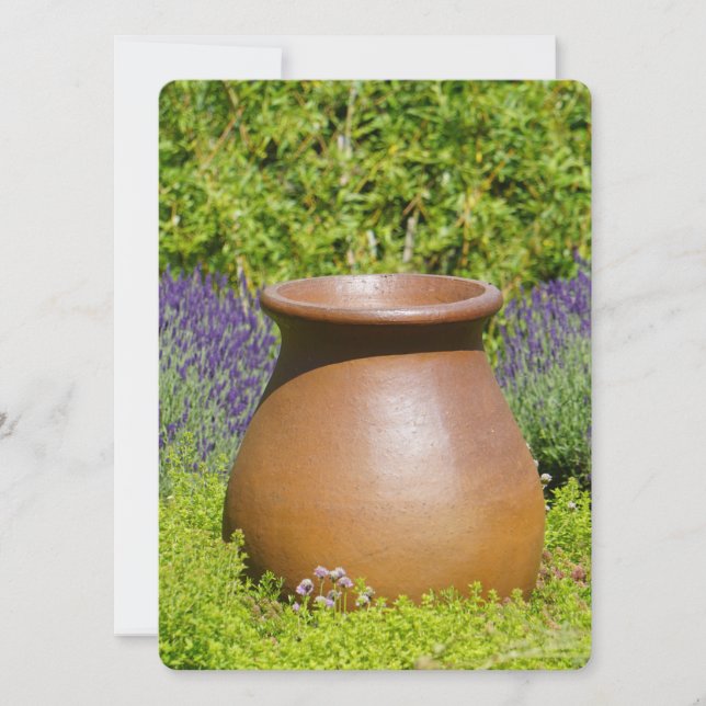 Vacker prydnadsbukt (Framsida)