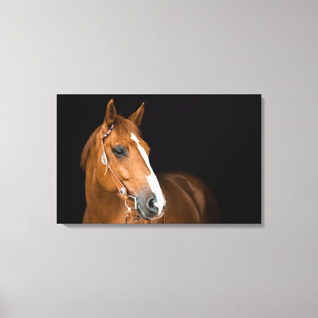 Vacker Quarter Horse Fotoduk Canvas (Framsida)