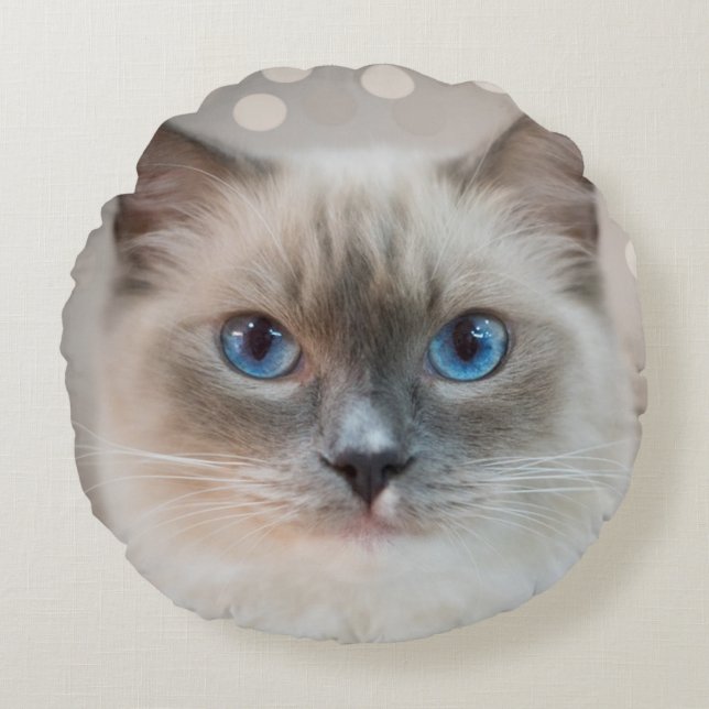 Vacker Ragdoll Katt på Beige Rund Kudde (Framsidan)