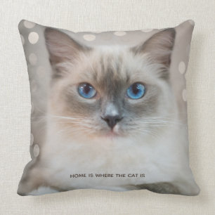 Vacker Ragdoll Katt & Redigerbar Text Kudde