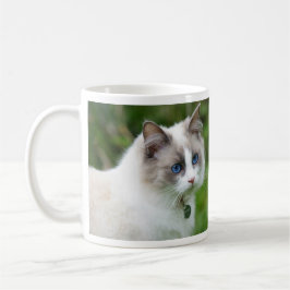 Vacker Ragdoll-kattunge med blå ögon Kaffemugg