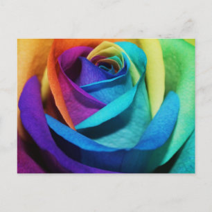 Vacker Rainbow Ro vykort