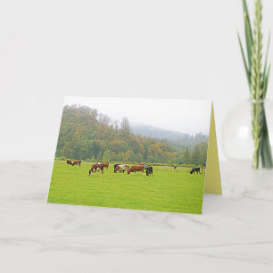 Vacker ranch, kor och grönt, betesmark, lantgård kort