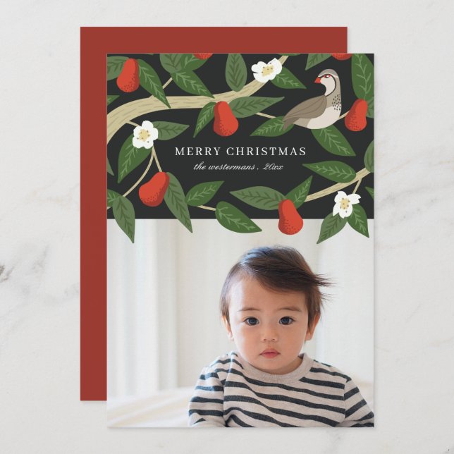 Vacker Rapphöna i ett Päronträd | Foto Jul Julkort (Fram/baksida)