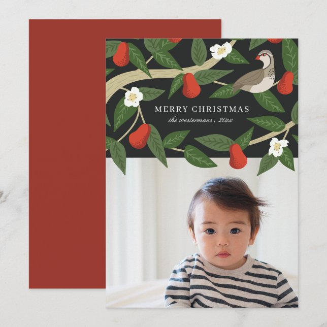 Vacker Rapphöna i ett Päronträd | Foto Julkort (Fram/baksida)