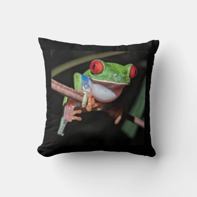 Vacker Red Eyed Träd Frog på Gren Kudde (Framsida)