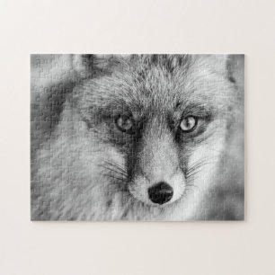 Vacker Red Fox i svartvitt, Jigszawa Puzzle Pussel