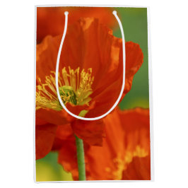 Vacker Red Poppy