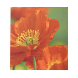Vacker Red Poppy Anteckningsblock