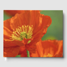 Vacker Red Poppy Gästböcker