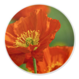 Vacker Red Poppy Knopp