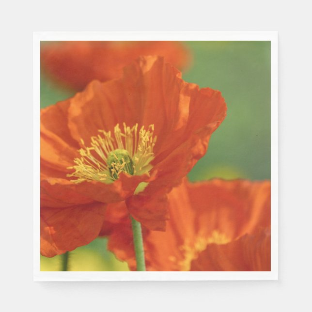 Vacker Red Poppy Pappersservett (Framsidan)