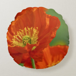 Vacker Red Poppy Rund Kudde